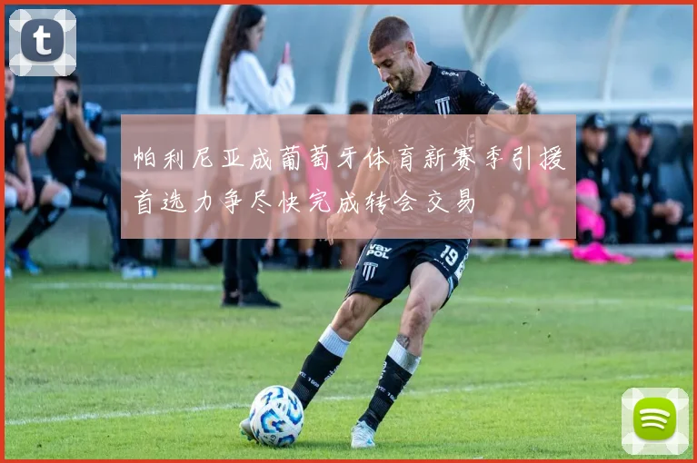 帕利尼亚成葡萄牙体育新赛季引援首选力争尽快完成转会交易